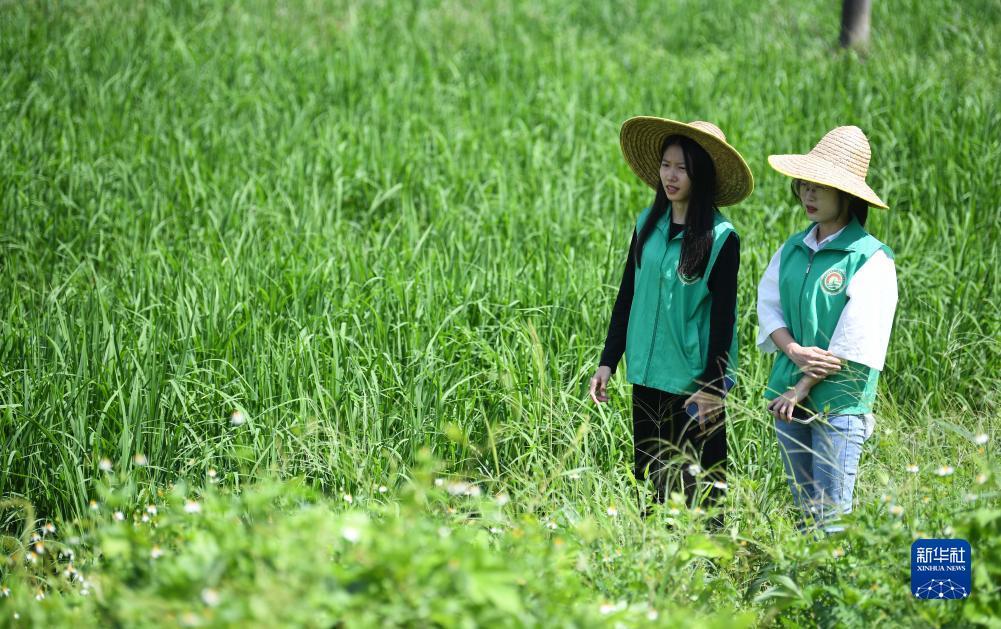花花公子平台游戏网站